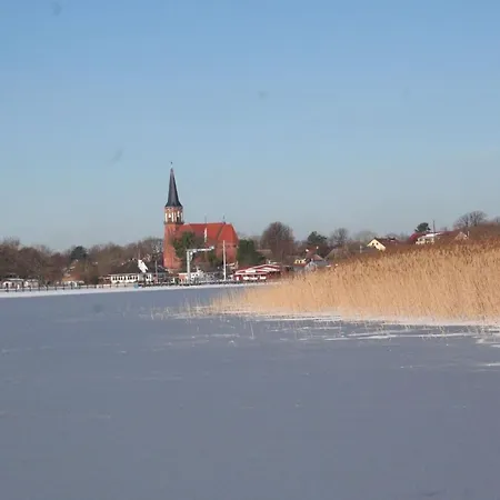 Am Fischland Fluegge *