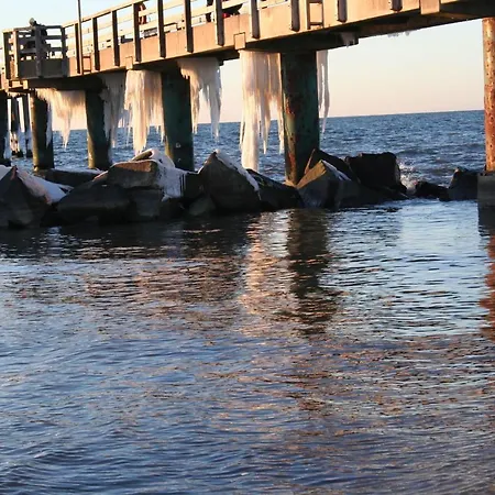 Am Fischland Fluegge *